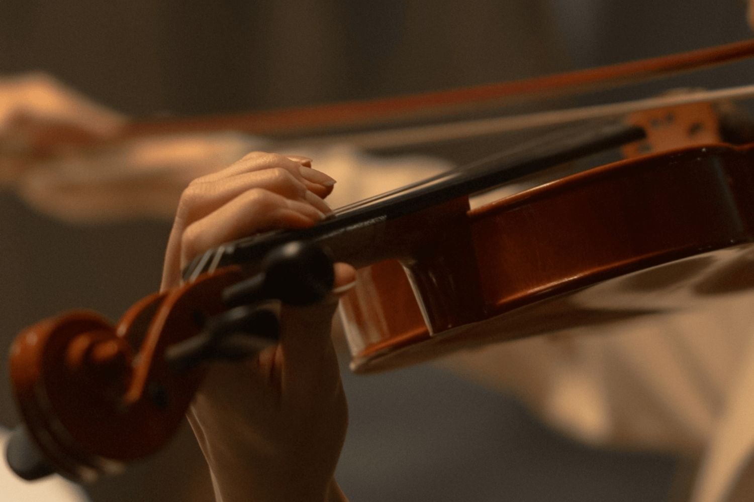lezioni di violino private a Varese con insegnante esperta Maira Pezzuti