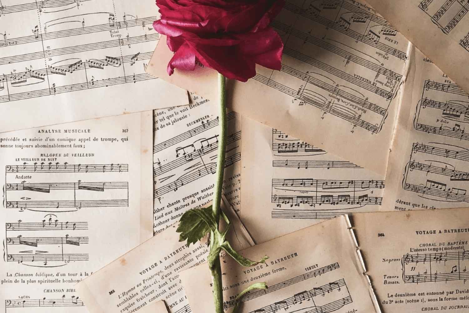 repertorio musicale violino per matrimoni eventi Varese brani classici e moderni