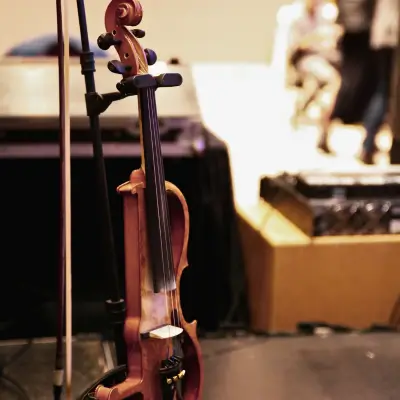 violino elettrico performance evento matrimonio Lago di Como